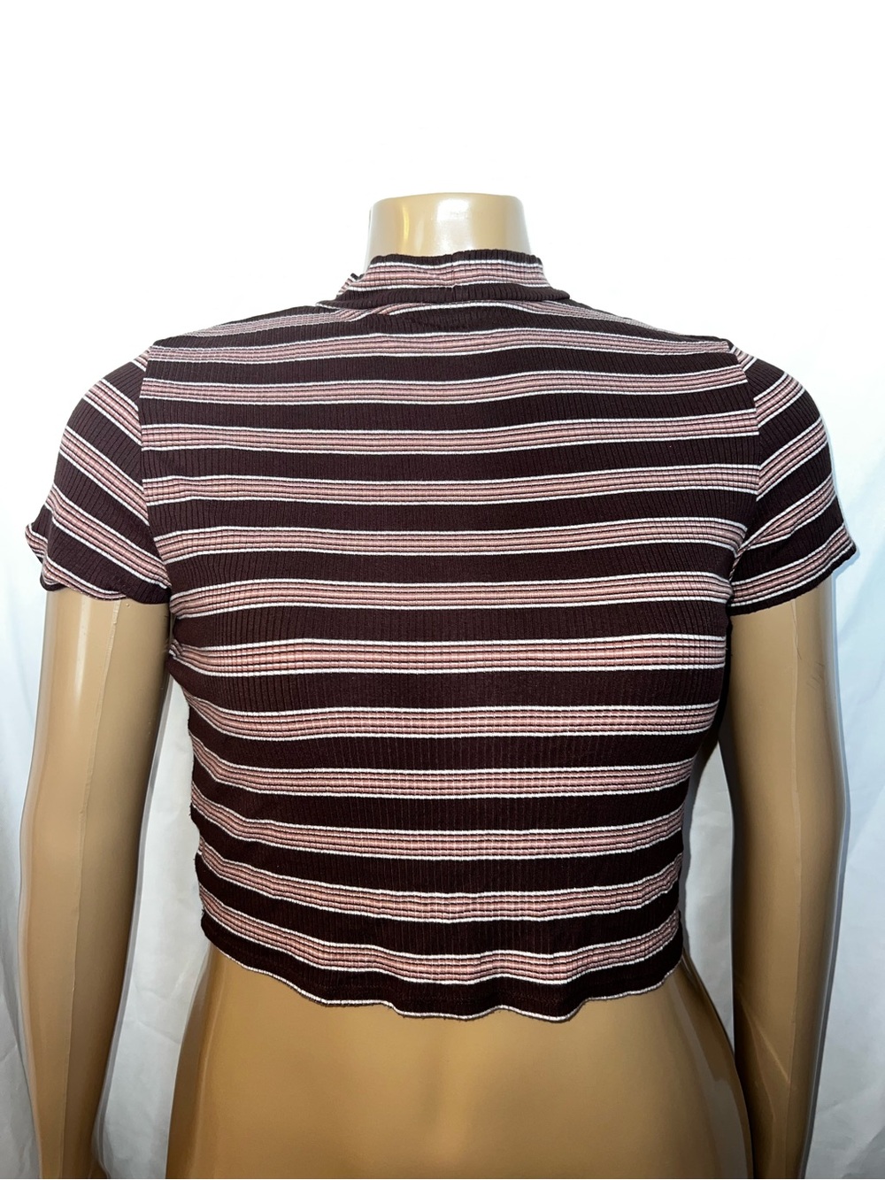 American Eagle Outfitters Brown and Pink Striped Ribbed Crop Top